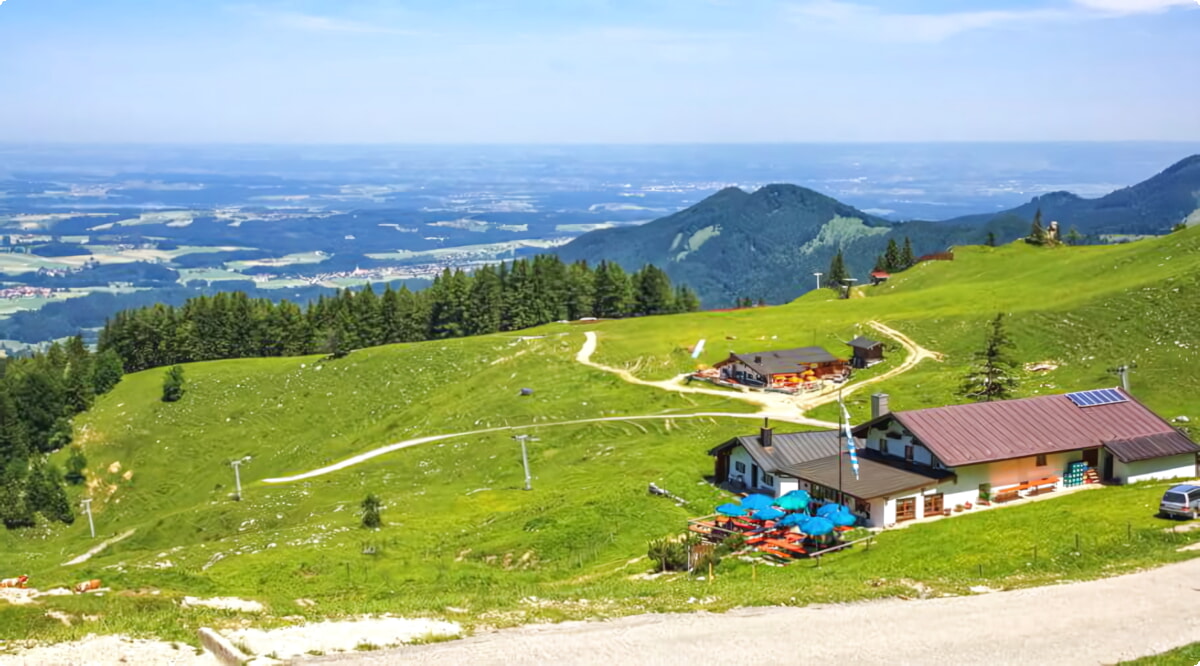 Il nostro inventario include una vasta gamma di veicoli.